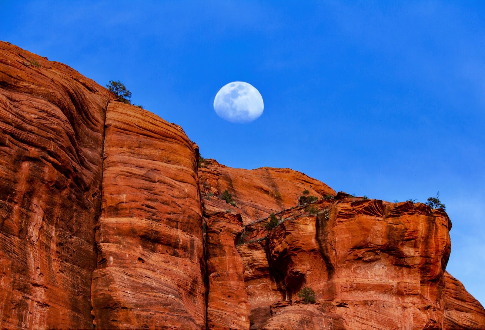 The moon rising over red rock cliffs near Sedona before sunset, the best time to start a full moon hike
