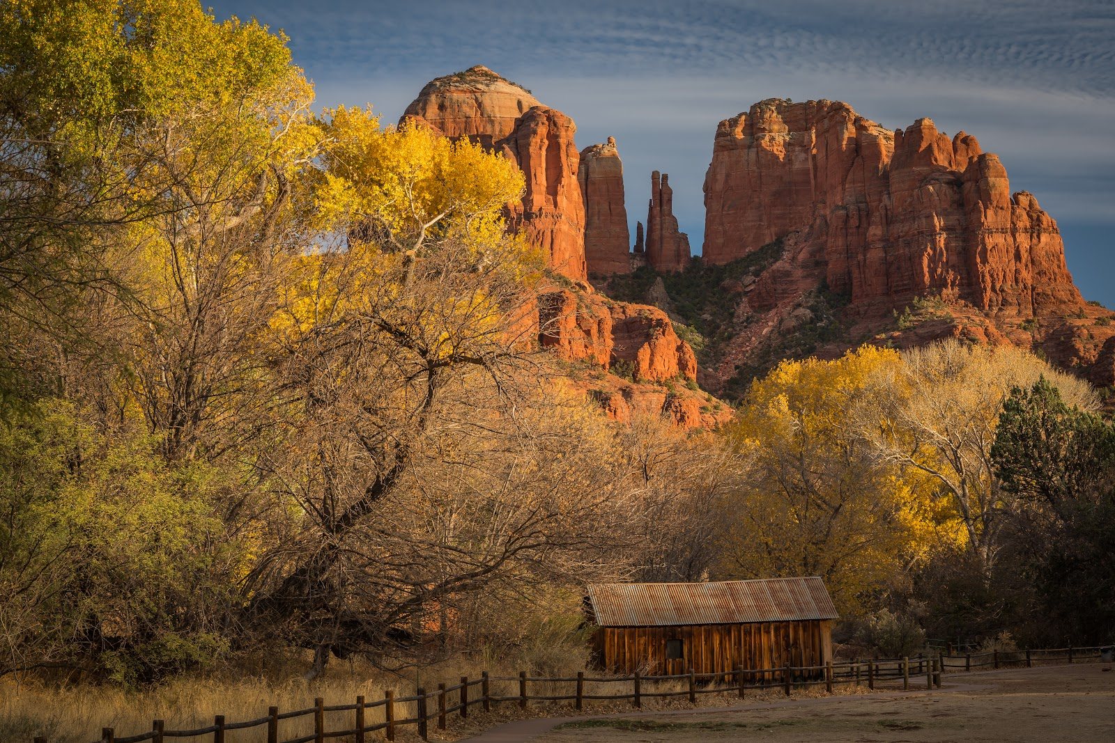 Morning light on red rock formations and fall cottonwoods near Sedona, Arizona