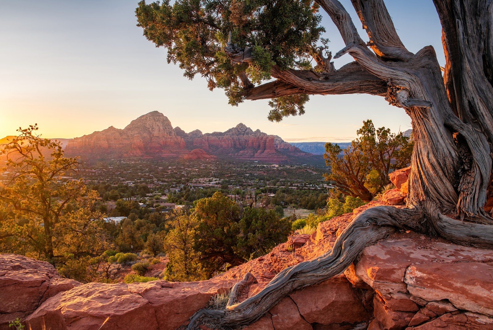 Evening light over Sedona's red rocks seen through a juniper, the view that greets you on arrival